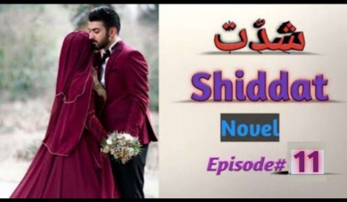 Shiddat Novel by Meerab Ahmed: A Review of a Romantic and Suspenseful Story